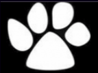 Animal Paws dog paws and cat paws paws motorcycle decals