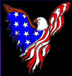 Eagle In Flight USA flag decal