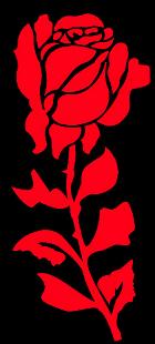Thorny Rose Decal