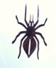 Spider Helmet Decal
Chubby Spider Helmet Decal
Reflective Spider Helmet Decal
Reflective Helmet deca
Helmet Decals