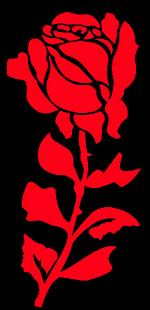 Thorny Rose Decal