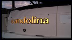 attractive gold on black reflective lettering