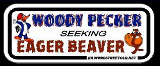 woody pecker seeking eager beaver sticker