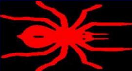Spider Helmet Decal